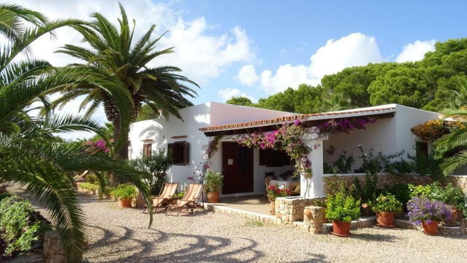 Appartamentos Michel Dos Sant Ferran de Ses Roques Bagian luar foto