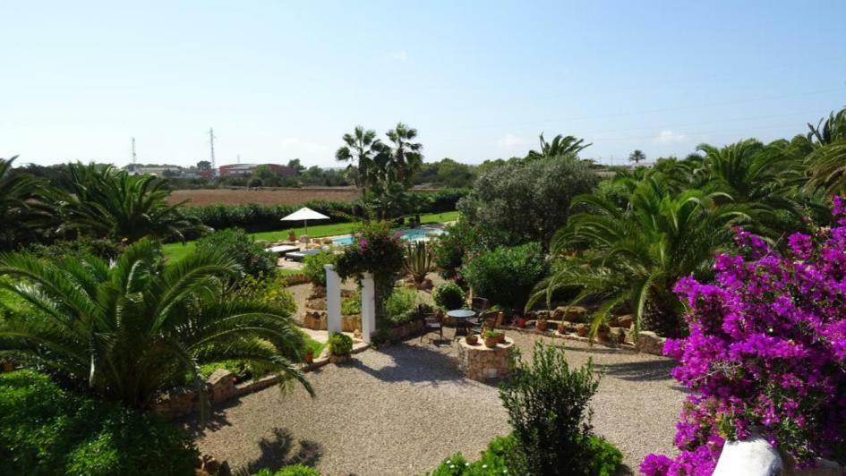 Appartamentos Michel Dos Sant Ferran de Ses Roques Bagian luar foto